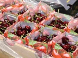 Científicos desarrollan innovador biopackaging que alarga la vida de la fruta y combate hongos