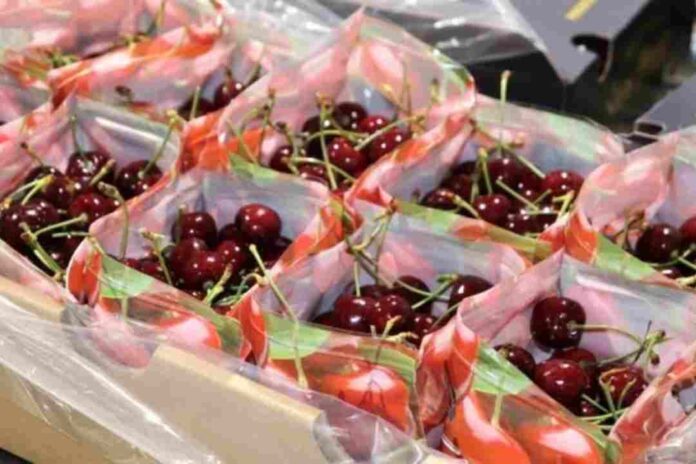 Científicos desarrollan innovador biopackaging que alarga la vida de la fruta y combate hongos
