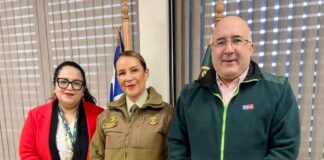 Contra el abigeato: SAG y Carabineros llaman a productores a cumplir con la Declaración de Existencia Animal