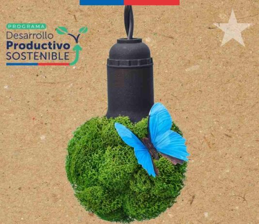 Crece Sostenible: primer programa de sostenibilidad para microempresas y cooperativas de Sercotec