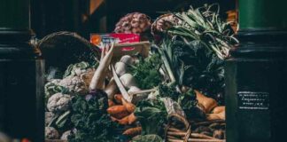 Desperdicio de alimentos: la contradicción de botar comida cuando se agotan los recursos naturales
