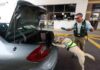Día del Perro: conoce cómo trabajan los canes del SAG en nuestras fronteras