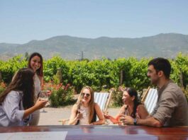 El gran momento del turismo vitivinícola sustentable en el Valle de Colchagua