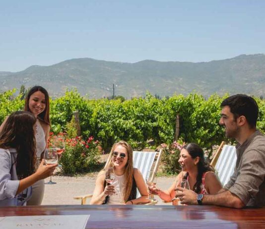 El gran momento del turismo vitivinícola sustentable en el Valle de Colchagua