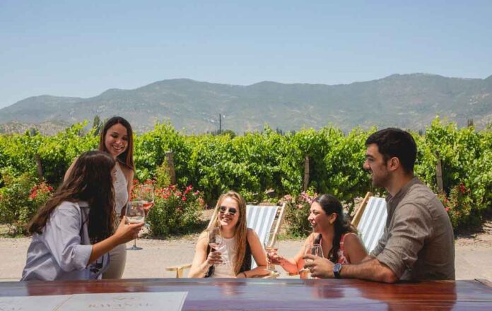 El gran momento del turismo vitivinícola sustentable en el Valle de Colchagua
