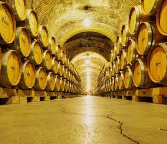 El valor de las exportaciones de vino, con denominación de origen, se incrementaron en 3%