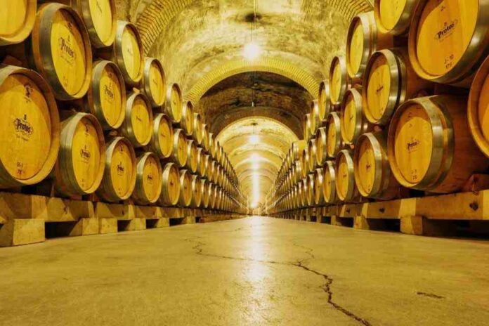 El valor de las exportaciones de vino, con denominación de origen, se incrementaron en 3%