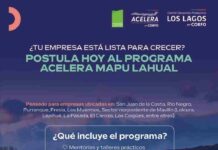 Empresas multisectoriales ya pueden postular al programa Acelera Mapu Lahual de Corfo Los Lagos