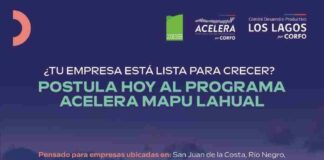 Empresas multisectoriales ya pueden postular al programa Acelera Mapu Lahual de Corfo Los Lagos