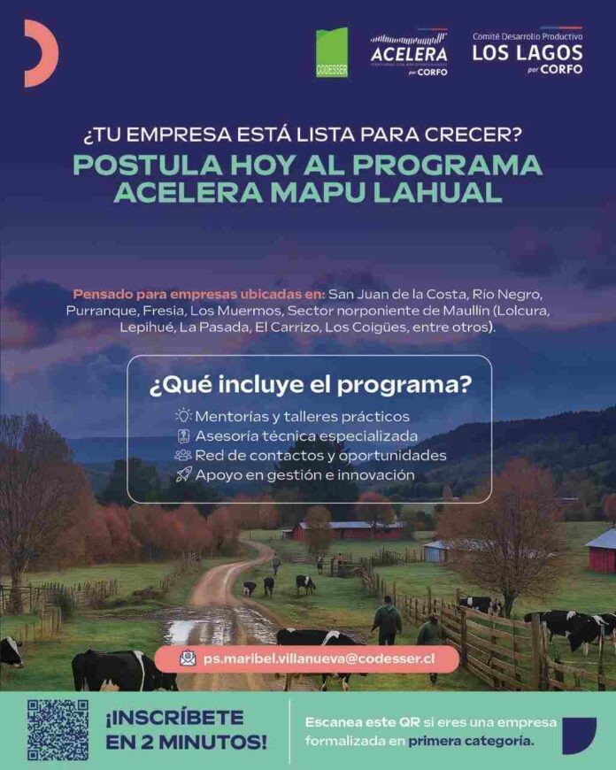 Empresas multisectoriales ya pueden postular al programa Acelera Mapu Lahual de Corfo Los Lagos