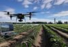 Es en la Región de Ñuble donde INIA concentra la investigación y desarrollo en agricultura digital