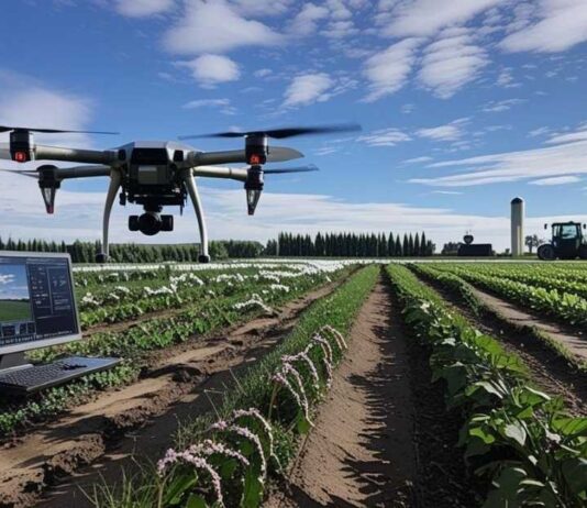 Es en la Región de Ñuble donde INIA concentra la investigación y desarrollo en agricultura digital