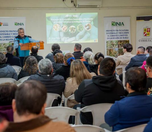 Proyecto de Fruticultura Sostenible contará con giras internacionales y Postítulo