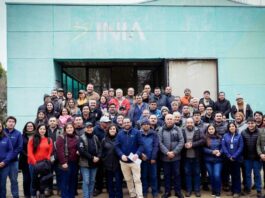 Giras Tecnológicas, Parcelas de Validación y Postítulos Proyecto Fruticultura Sostenible abre postulaciones para transformar la agricultura en Ñuble