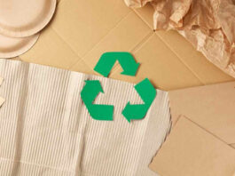Guía para un consumo responsable con el medio ambiente Guía para un consumo responsable con el medio ambiente