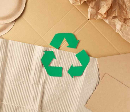 Guía para un consumo responsable con el medio ambiente