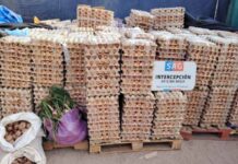 Huevos de contrabando desde Bolivia que inquieta al agro chileno