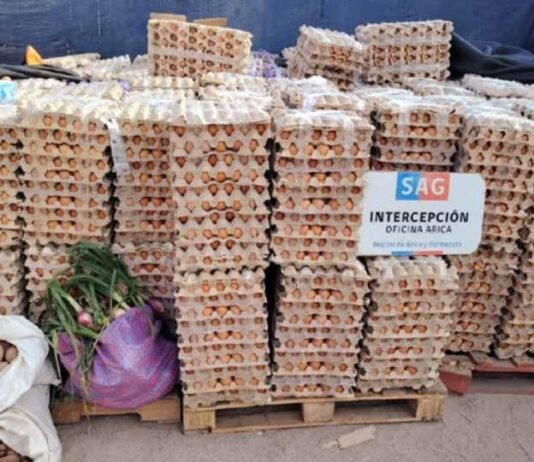 Huevos de contrabando desde Bolivia que inquieta al agro chileno
