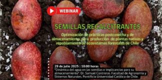 INIA La Platina y CONAF invitan a ciclo de charlas sobre almacenamiento de semillas nativas para resguardo genético del bosque chileno