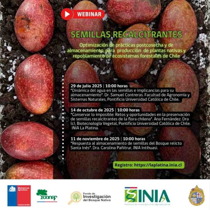 INIA La Platina y CONAF invitan a ciclo de charlas sobre almacenamiento de semillas nativas para resguardo genético del bosque chileno