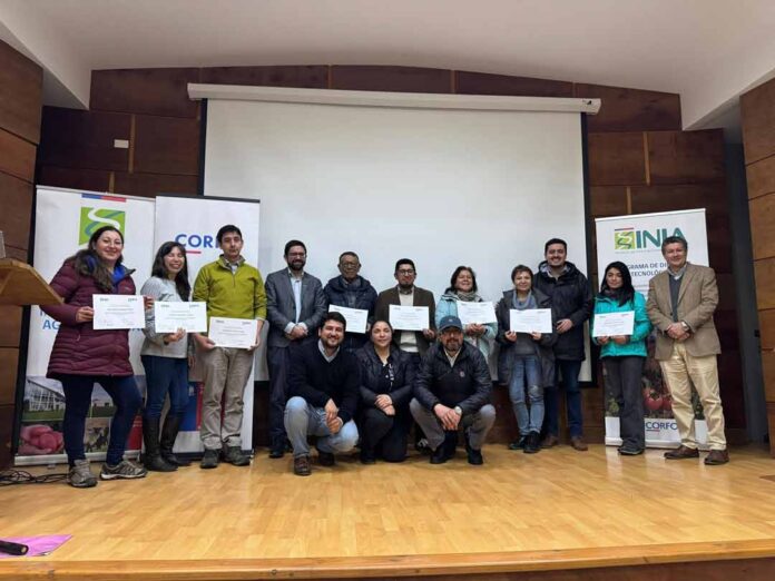 INIA Remehue y CORFO impulsan la producción sostenible de hortalizas en la Región de Los Lagos