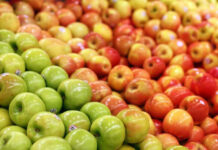 Importaciones de manzana de la UE crecieron 13%