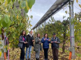 Instalan sistema agrivoltaico en huerto de cerezos del Maule para enfrentar la crisis hídrica y climática