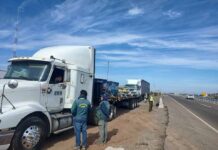 Intensa fiscalización de CONAF Coquimbo al transporte de productos del bosque nativo