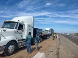 Intensa fiscalización de CONAF Coquimbo al transporte de productos del bosque nativo