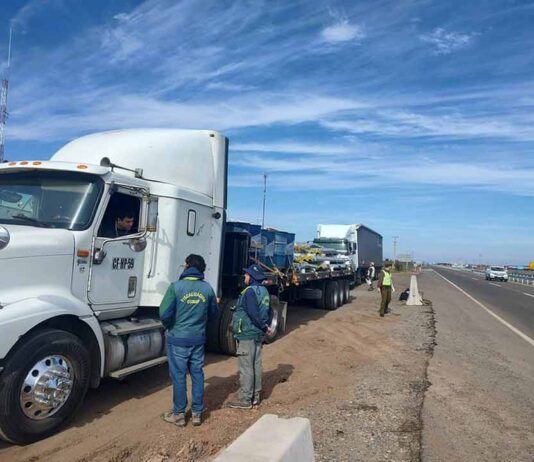 Intensa fiscalización de CONAF Coquimbo al transporte de productos del bosque nativo