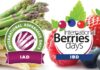 International Asparagus Days e International Berries Days unirán sus fuerzas en Burdeos del 7 al 10 de octubre de 2025 (1)