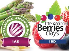 International Asparagus Days e International Berries Days unirán sus fuerzas en Burdeos del 7 al 10 de octubre de 2025 (1)