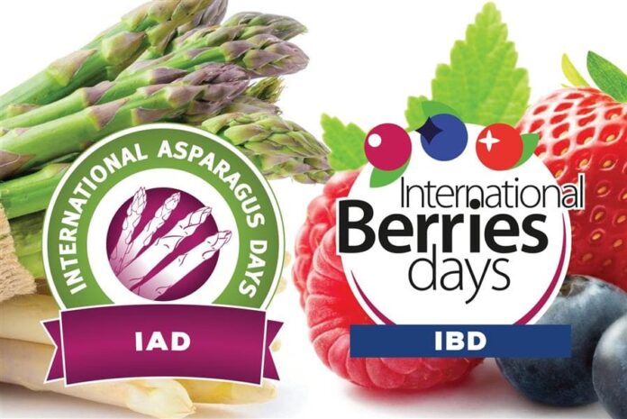 International Asparagus Days e International Berries Days unirán sus fuerzas en Burdeos del 7 al 10 de octubre de 2025 (1)