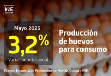 La producción de huevos de consumo presentó un aumento interanual de 3,2% en mayo de 2025