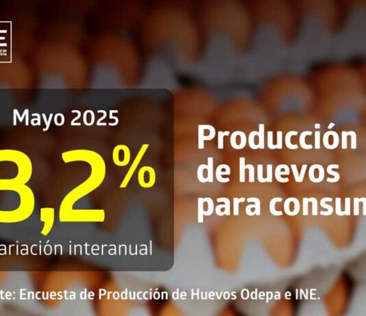 La producción de huevos de consumo presentó un aumento interanual de 3,2% en mayo de 2025