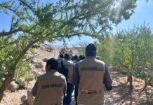 Liderazgos tradicionales indígenas se suman al desarrollo de la Reserva de Biósfera Lauca