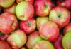 Manzana Honeycrisp: ¿Por Qué Su Precio se Ha Disparado Casi un Triple en EE. UU. Desde Mediados de 2024?