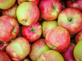 Manzana Honeycrisp: ¿Por Qué Su Precio se Ha Disparado Casi un Triple en EE. UU. Desde Mediados de 2024?