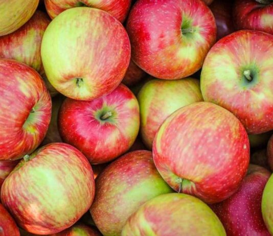 Manzana Honeycrisp: ¿Por Qué Su Precio se Ha Disparado Casi un Triple en EE. UU. Desde Mediados de 2024?