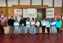 Más de 70 productores hortícolas avanzan hacia una agricultura más sostenible en la región de Los Lagos