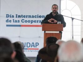Más rápido y económico Lanzan plataforma para constituir cooperativas de manera online