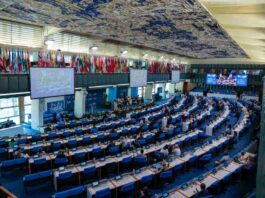 Ministerio de Agricultura destaca próxima aprobación por parte de la FAO del Día Internacional de las Frutas y Verduras