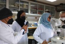 Revista internacional destaca a Chile en acuicultura y reconoce el aporte científico del Núcleo MASH en macroalgas