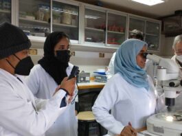Revista internacional destaca a Chile en acuicultura y reconoce el aporte científico del Núcleo MASH en macroalgas