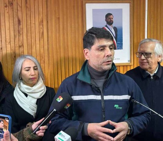 Personal de CONAF, Carabineros y Bienes Nacionales fiscalizaron predio en Lago Frío, Región de Aysén, verificando tala denunciada por terceros.