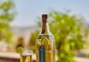 Pisco chileno obtiene doble oro en Londres y es elegido "Destilería del Año" en Nueva York