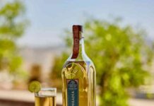 Pisco chileno obtiene doble oro en Londres y es elegido "Destilería del Año" en Nueva York