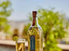 Pisco chileno obtiene doble oro en Londres y es elegido "Destilería del Año" en Nueva York