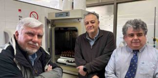 Proyecto para transformar orujo en suplemento ganadero avanza hacia etapa de validación con productores en Ñuble