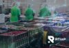 RTIAP: La Solución Tecnológica para los Desafíos de la Cadena de Frío en la Industria Frutícola Chilena